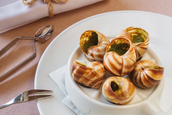 delicious bourguignonne snail au gratin. dish with snails. fork for snails