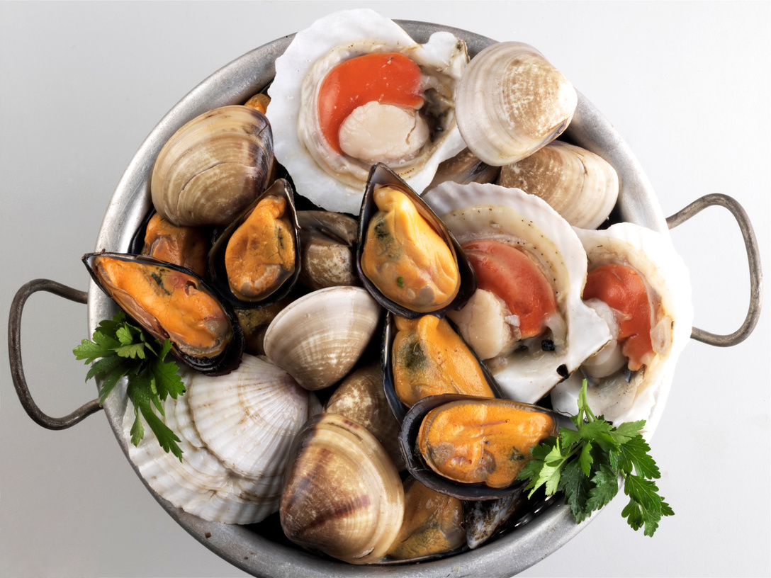 Shellfish